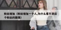 粉丝增加（粉丝增加一个人,为什么看不到这个粉丝的图像）