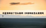 抖音有粉丝了怎么盈利（抖音粉丝怎么变现吗）