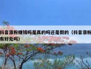 抖音涨粉赚钱吗是真的吗还是假的（抖音涨粉有好处吗）