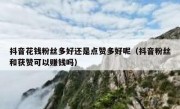 抖音花钱粉丝多好还是点赞多好呢（抖音粉丝和获赞可以赚钱吗）