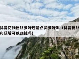 抖音花钱粉丝多好还是点赞多好呢（抖音粉丝和获赞可以赚钱吗）