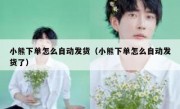 小熊下单怎么自动发货（小熊下单怎么自动发货了）