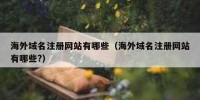 海外域名注册网站有哪些（海外域名注册网站有哪些?）