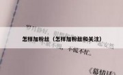 怎样加粉丝（怎样加粉丝和关注）
