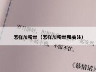 怎样加粉丝（怎样加粉丝和关注）