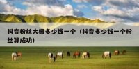抖音粉丝大概多少钱一个（抖音多少钱一个粉丝算成功）