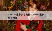 124*72是多少寸电视（12472是多少寸电视）