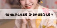 抖音粉丝数在哪里看（抖音粉丝量怎么看?）