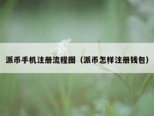 派币手机注册流程图（派币怎样注册钱包）