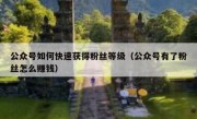 公众号如何快速获得粉丝等级（公众号有了粉丝怎么赚钱）