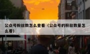 公众号粉丝数怎么查看（公众号的粉丝数量怎么看）