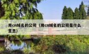 用cn域名的公司（用cn域名的公司是什么意思）