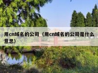 用cn域名的公司（用cn域名的公司是什么意思）