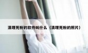 清理死粉的软件叫什么（清理死粉的照片）