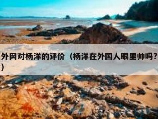 外网对杨洋的评价（杨洋在外国人眼里帅吗?）