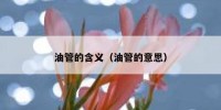 油管的含义（油管的意思）