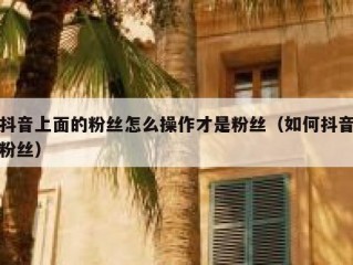 抖音上面的粉丝怎么操作才是粉丝（如何抖音粉丝）