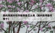 国内用国外软件服务器怎么用（国内服务器买哪个）