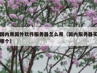 国内用国外软件服务器怎么用（国内服务器买哪个）