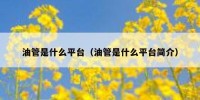 油管是什么平台（油管是什么平台简介）