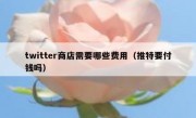 twitter商店需要哪些费用（推特要付钱吗）