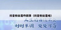 抖音粉丝是咋回事（抖音粉丝是啥）