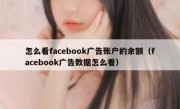 怎么看facebook广告账户的余额（facebook广告数据怎么看）