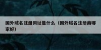 国外域名注册网址是什么（国外域名注册商哪家好）