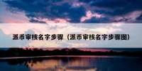 派币审核名字步骤（派币审核名字步骤图）