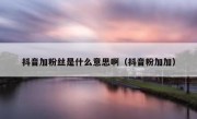 抖音加粉丝是什么意思啊（抖音粉加加）