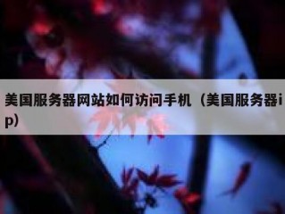 美国服务器网站如何访问手机（美国服务器ip）