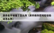 派币名字填错了怎么改（派币修改密码短信验证怎么弄）