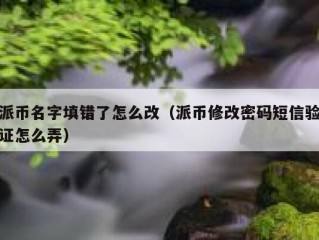 派币名字填错了怎么改（派币修改密码短信验证怎么弄）