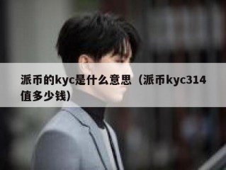 派币的kyc是什么意思（派币kyc314值多少钱）