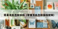 苹果耳机怎样接线（苹果耳机怎样接线视频）