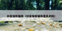 抖音加粉骗局（抖音加粉骗局是真的吗）