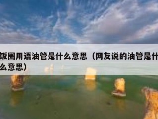 饭圈用语油管是什么意思（网友说的油管是什么意思）