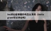 ins评论能带图片吗怎么发的（instagram可以评论吗）