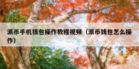 派币手机钱包操作教程视频（派币钱包怎么操作）