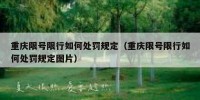 重庆限号限行如何处罚规定（重庆限号限行如何处罚规定图片）