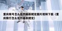 重庆限号怎么处罚最新规定图片视频下载（重庆限行怎么处罚最新规定）