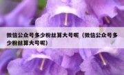 微信公众号多少粉丝算大号呢（微信公众号多少粉丝算大号呢）