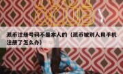 派币注册号码不是本人的（派币被别人用手机注册了怎么办）