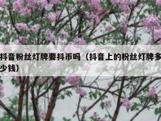 抖音粉丝灯牌要抖币吗（抖音上的粉丝灯牌多少钱）