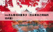 ins怎么看访问量多少（怎么看自己网站的访问量）