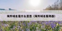 海外域名是什么意思（海外域名服务器）