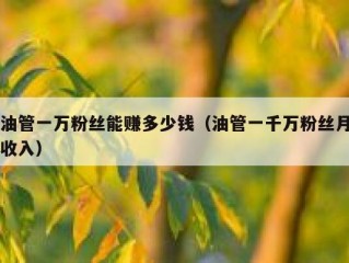 油管一万粉丝能赚多少钱（油管一千万粉丝月收入）