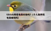 tiktok跨境电商好做吗?（个人做跨境电商赚钱吗）