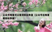 公众号哪里可以看到粉丝数量（公众号在哪里看粉丝数量）