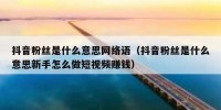 抖音粉丝是什么意思网络语（抖音粉丝是什么意思新手怎么做短视频赚钱）